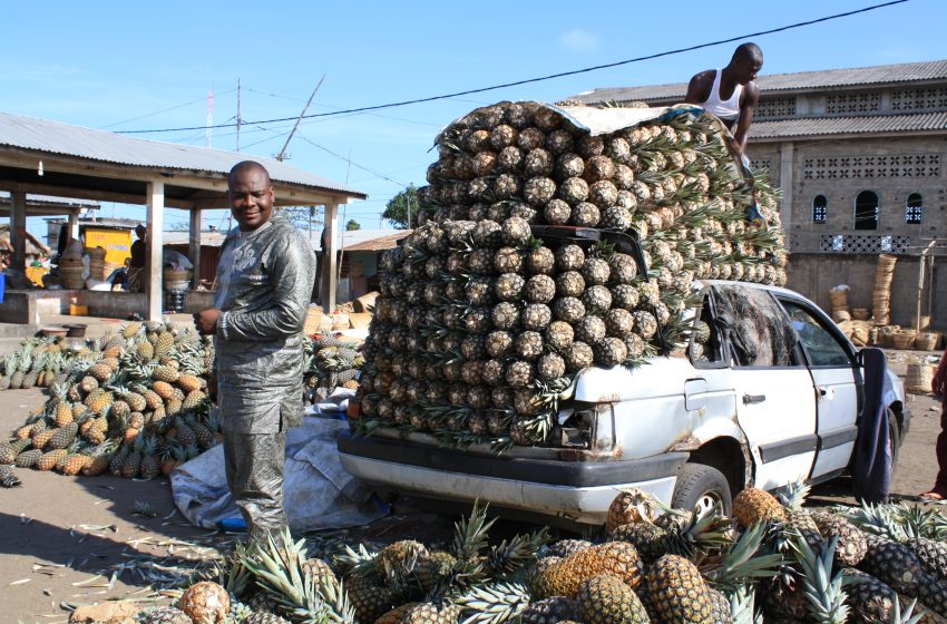  Bénin, la longue marche vers une agriculture moderne